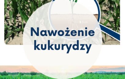 Efektywne nawożenie