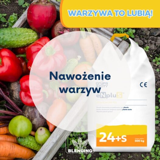 Nawożenie warzyw