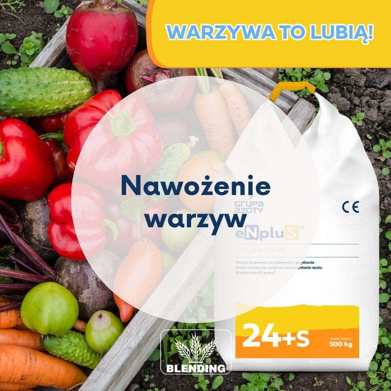 Nawożenie warzyw