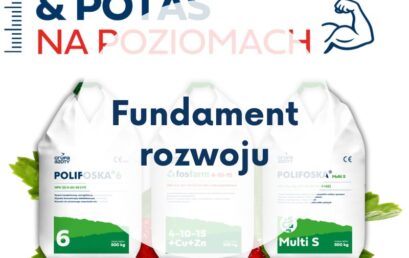 Fosfor i potas
