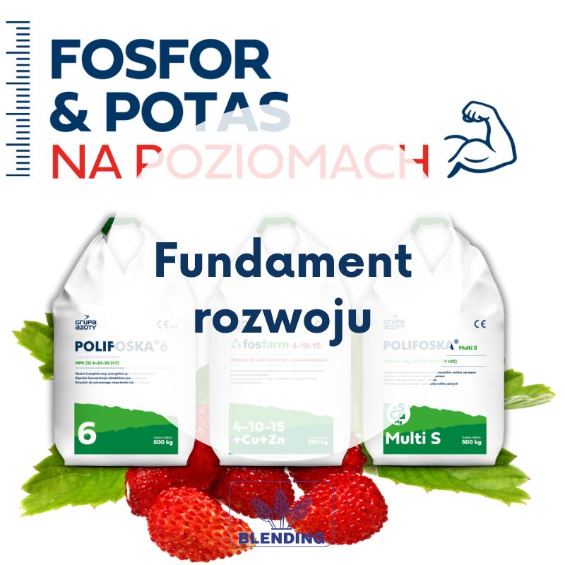Fosfor i potas