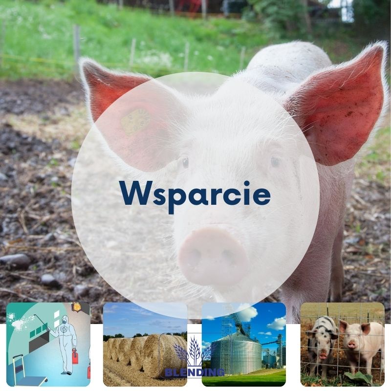 Nabór wniosków Nabór wniosków