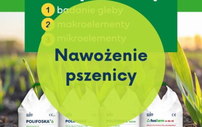 Strategiczne nawożenie