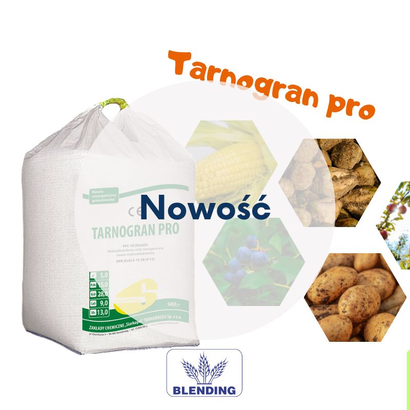 NOWOŚĆ NOWOŚĆ