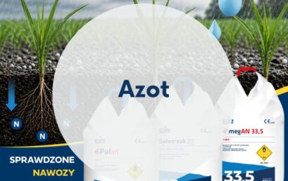 Azot i woda