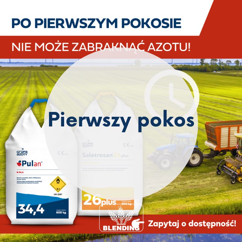Azot