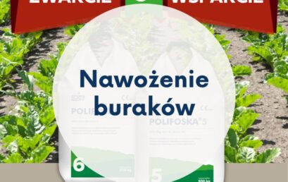 Zwarcie międzyrzędzi