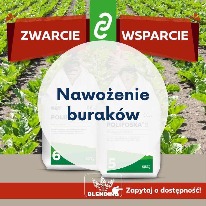 Zwarcie międzyrzędzi