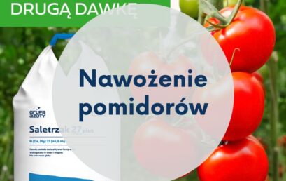 Druga dawka azotu